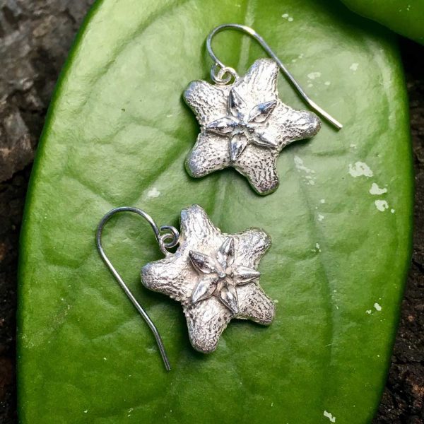 sterling silver Hoya Flower earrings on French hooks